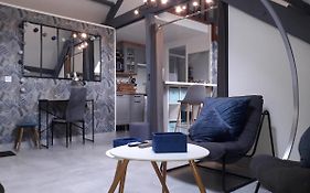 Loft Haut De Gamme Centre Montargis, Place De Parking, Local A Velos, Linge De Lits Et Serviettes, Coin Riviere Amenage, Hamac, Epicerie, Velos En Option, Tout Confort Jusqu'A 4 Voyageurs