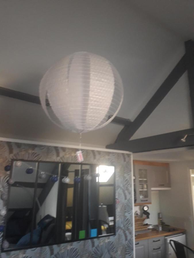 Loft Haut De Gamme Centre Montargis, Place De Parking, Local A Velos, Linge De Lits Et Serviettes, Coin Riviere Amenage, Hamac, Epicerie, Velos En Option, Tout Confort Jusqu'A 4 Voyageurs Exterior foto